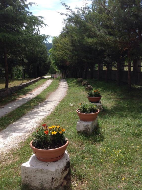 Bed & Breakfast Il Casale