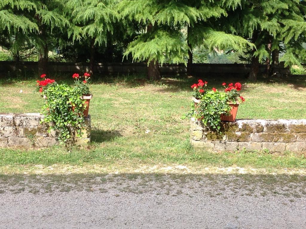 Bed & Breakfast Il Casale Castel Di Sangro